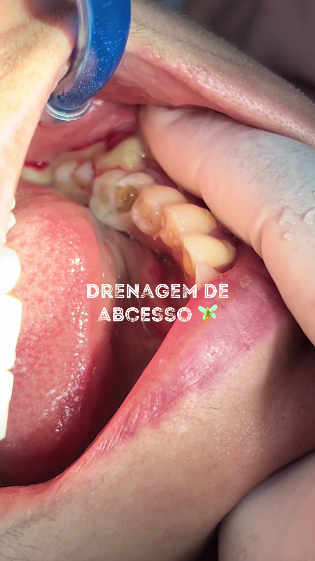 @dailybrudentist