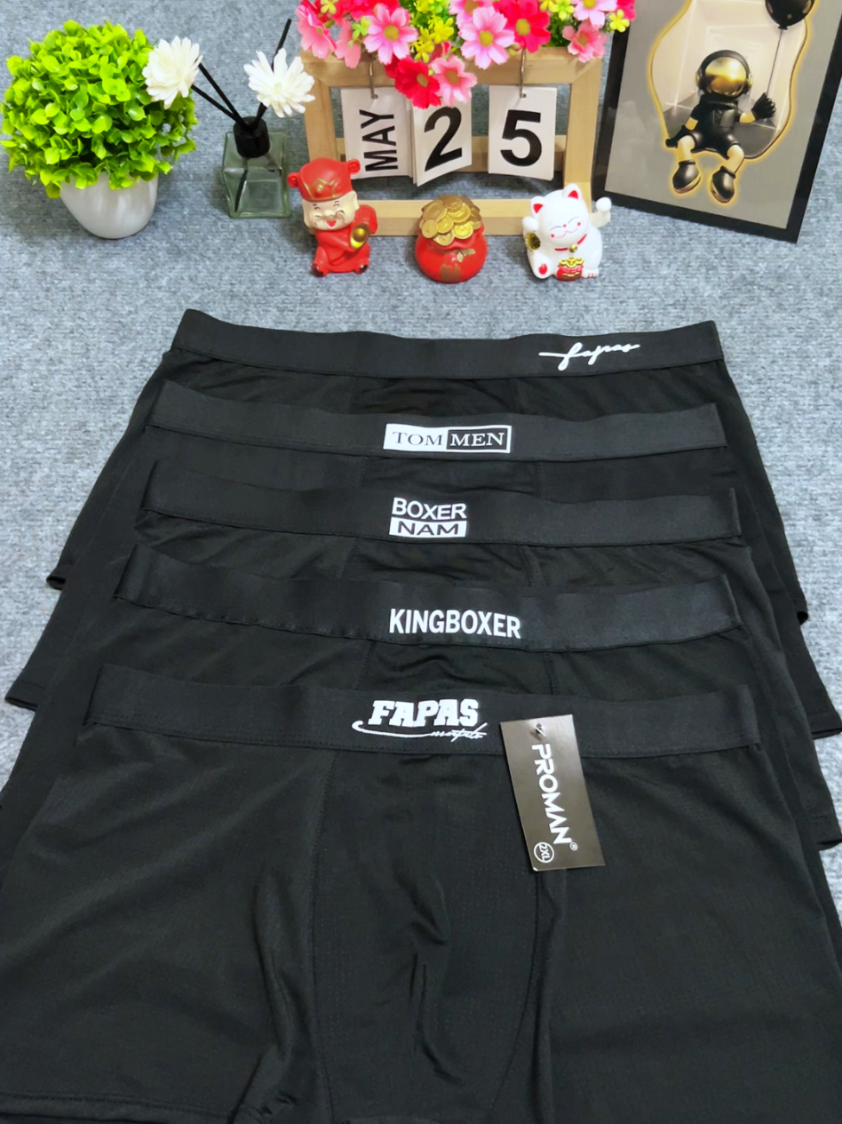 @Mr Âu Boxer
