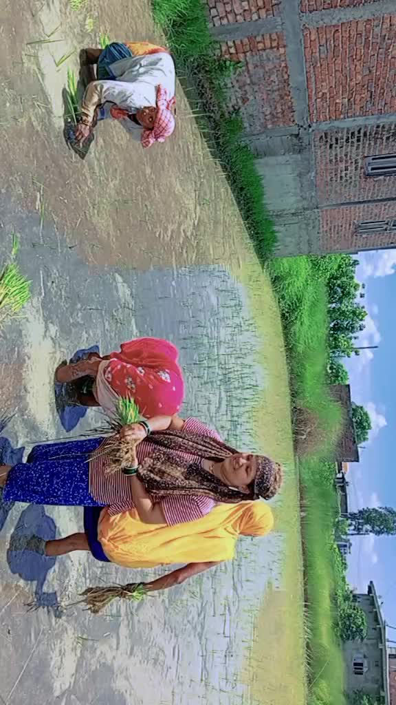 @🍁 Priyanka baniya 🍁(Dp)🪔🫶