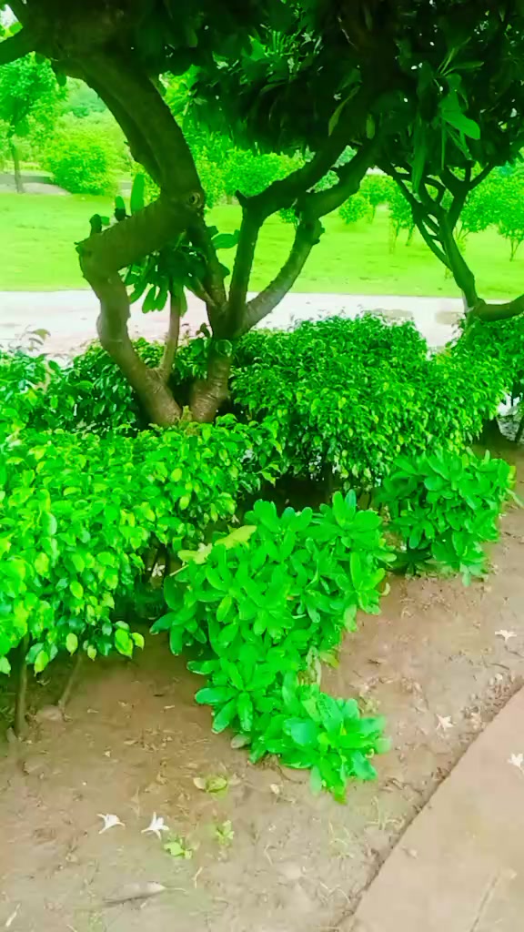 @Khokhar-hu-yar