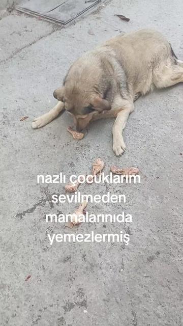 @Fatoşçırpan34