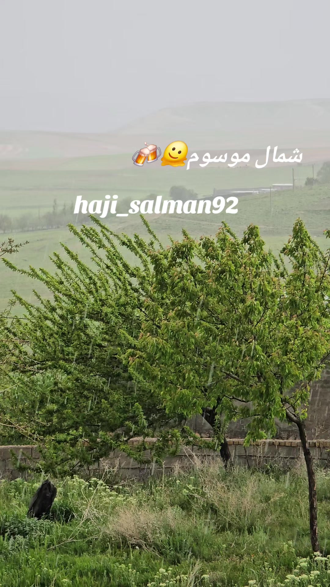 @Haji_salman92
