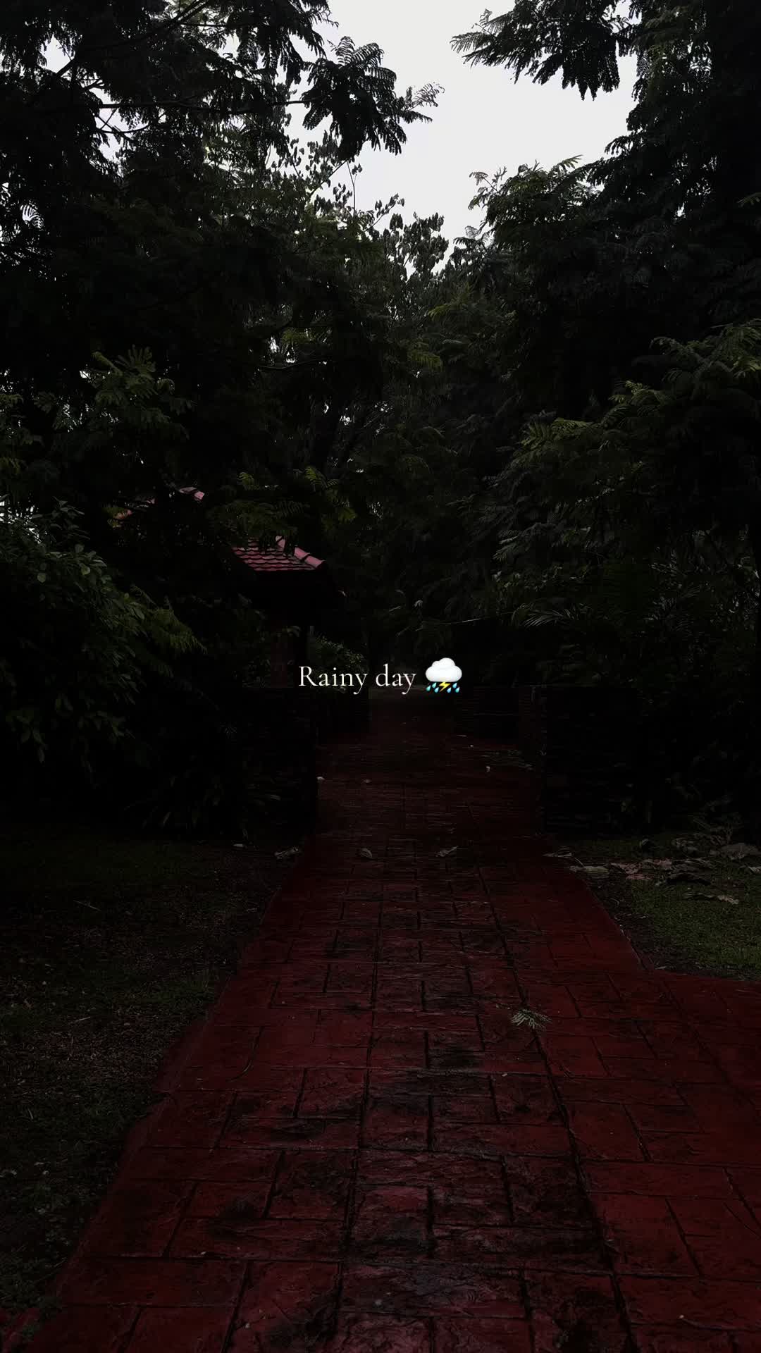 @“๐ซฉ”