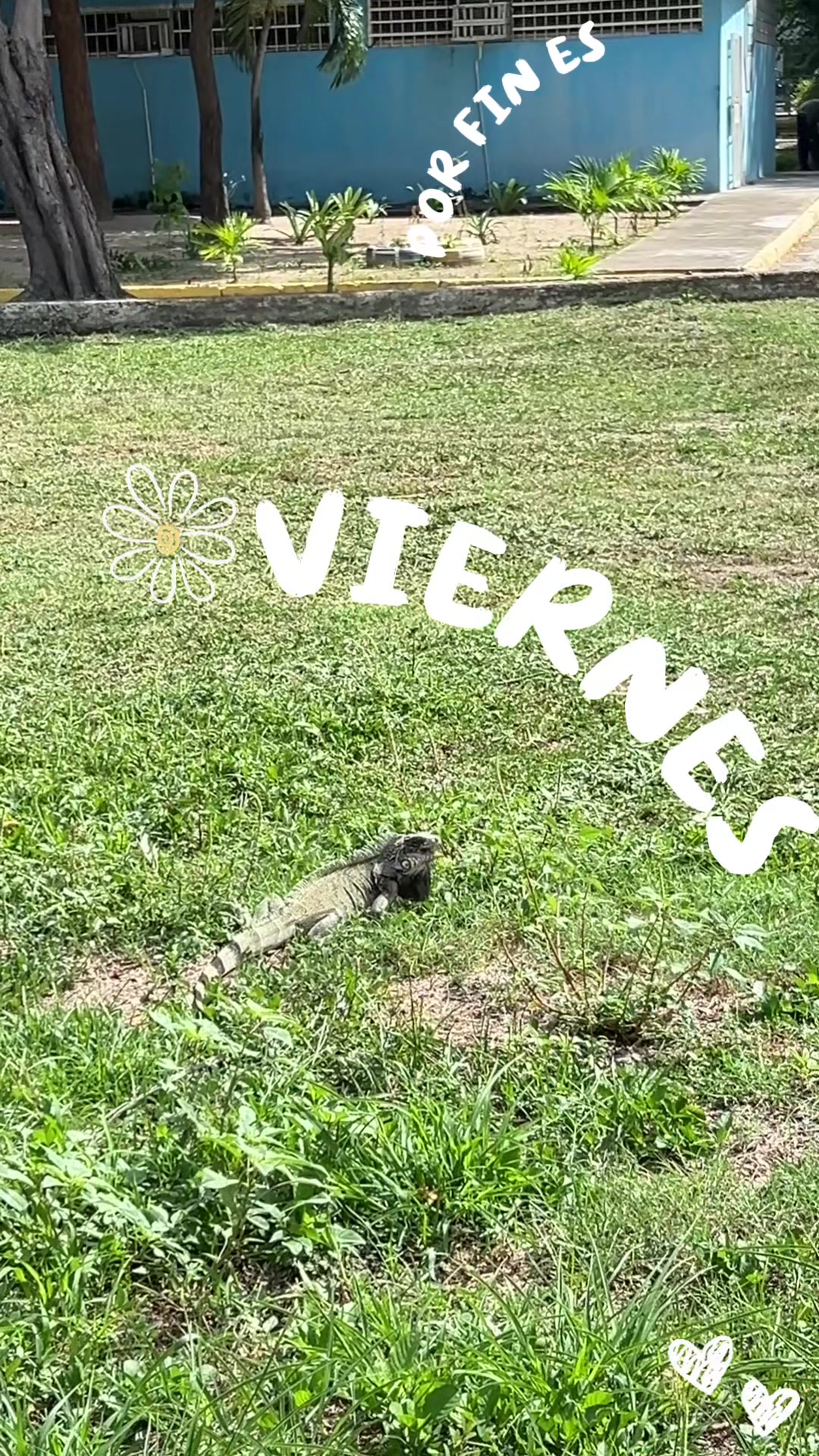 @Parque de Feria San Jacinto