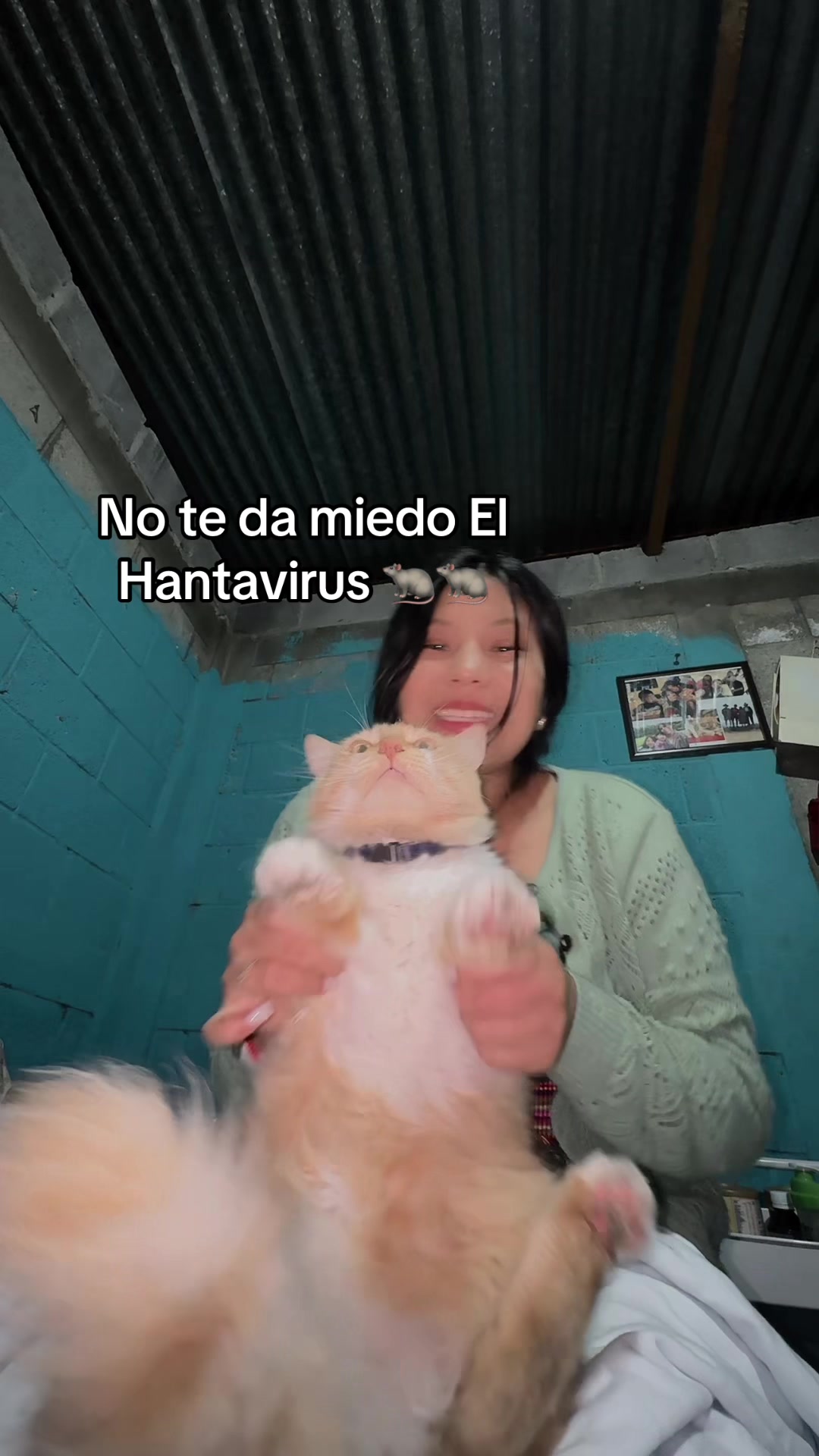 @Sol-Argueta 🐾🤍