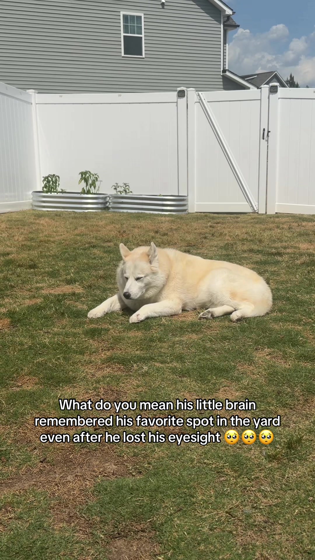 @Krys