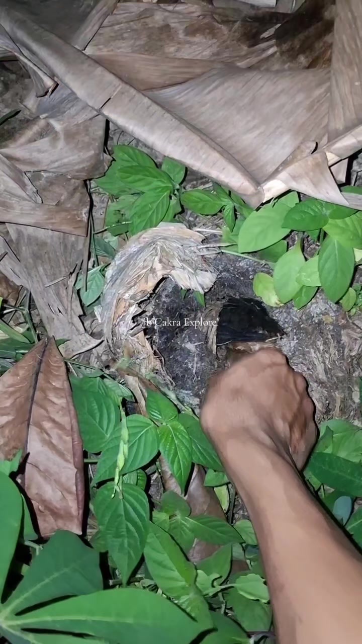 @samudra69
