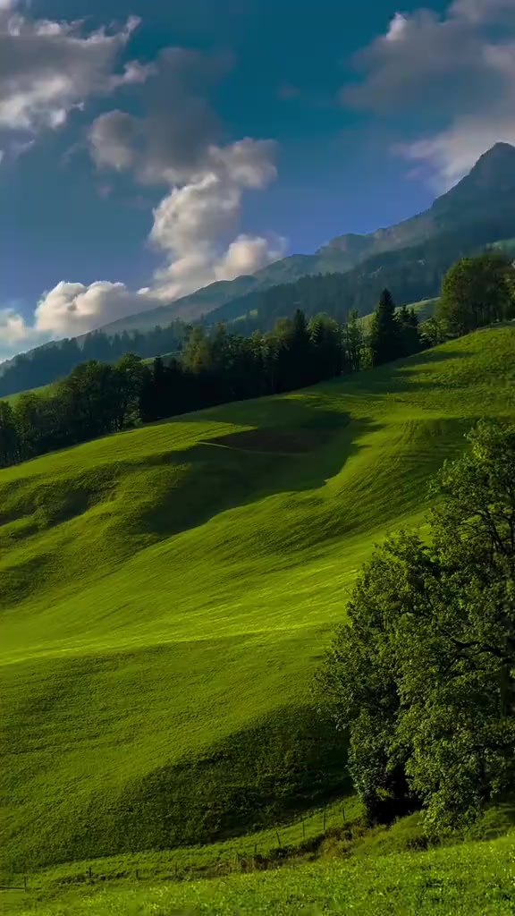 @🌗