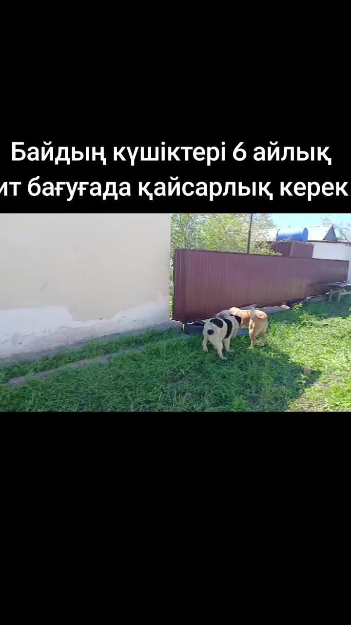 @ҒАЛЫМ ҚАЛАБАЕВ