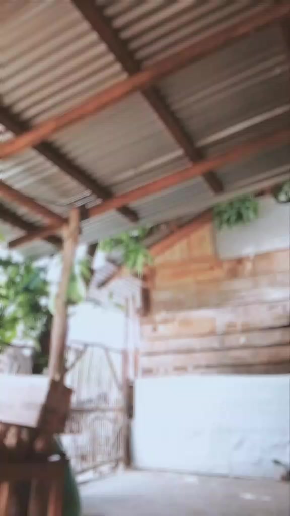 @ทานย่า ฟรานซิสโก 💋