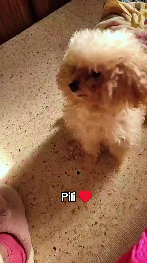 @Florcitamdq🌷