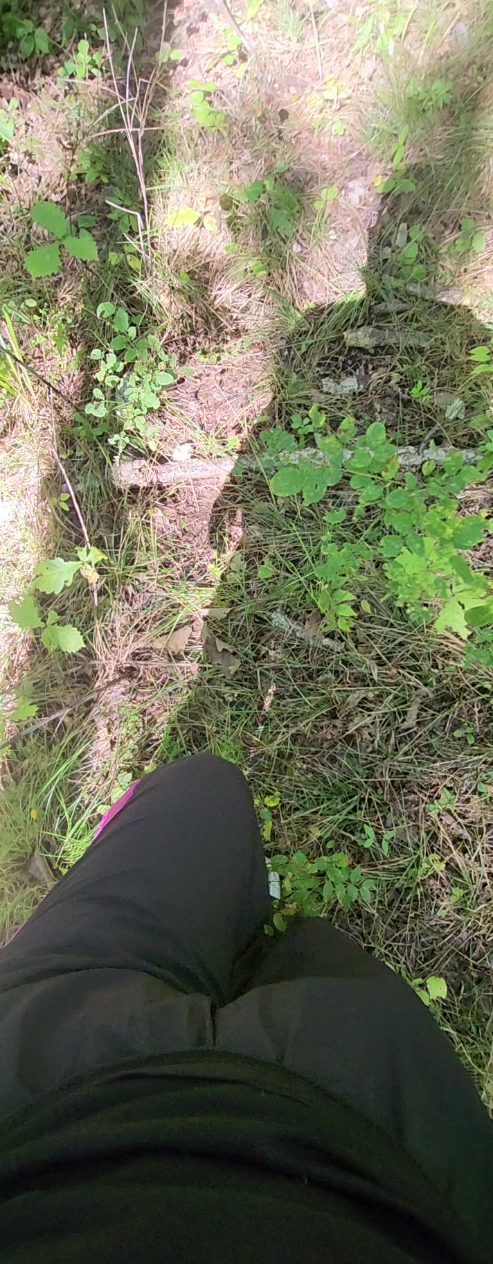 @Татьяна Сивожелезова