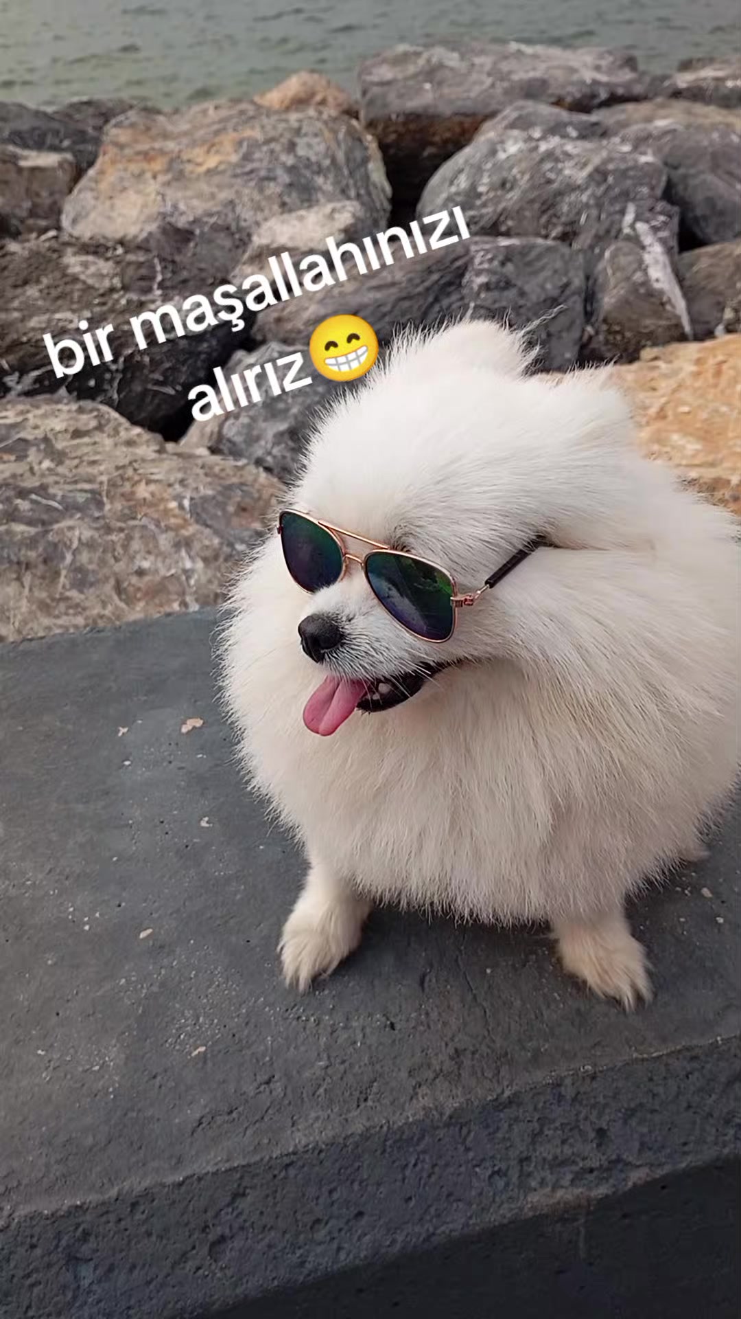 @mavi kelebek