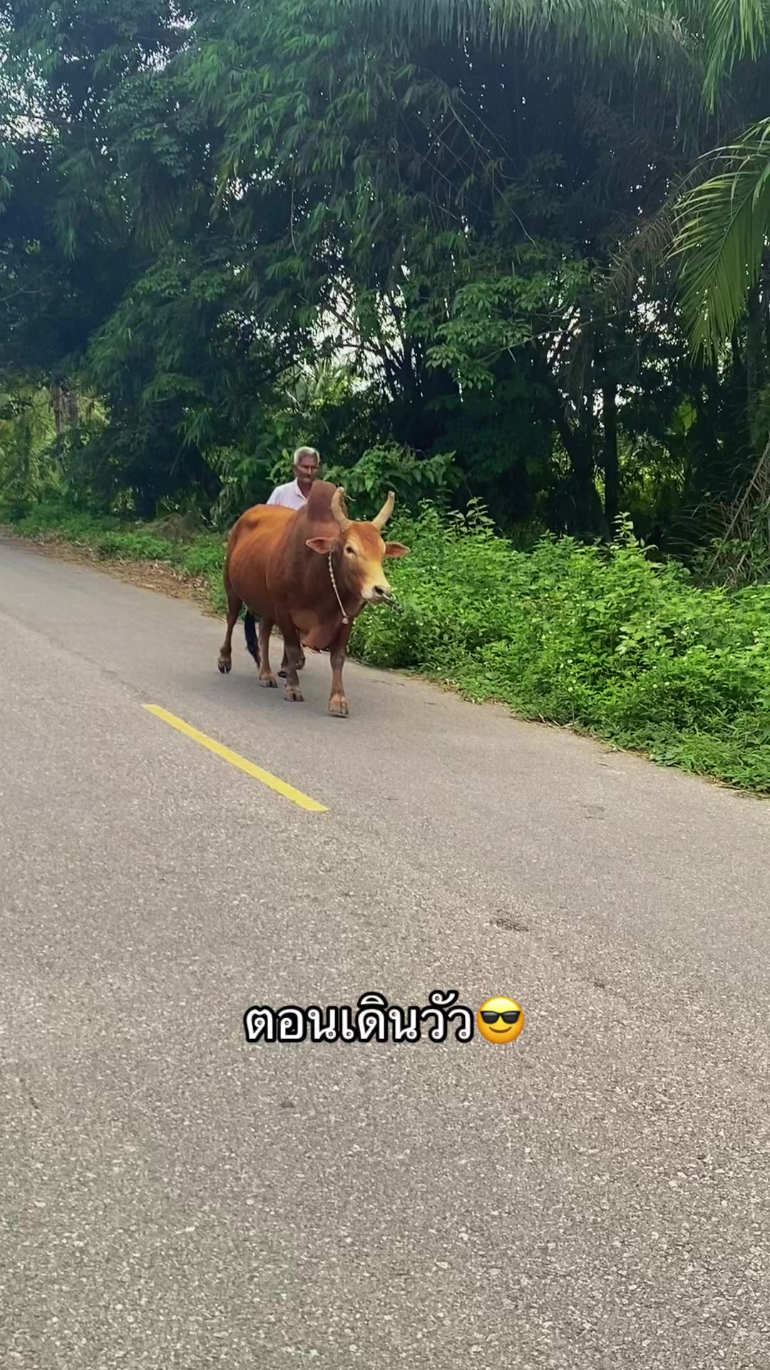@ทำดีเข้าเเลก เพื่อกระเเทกหีเธอ