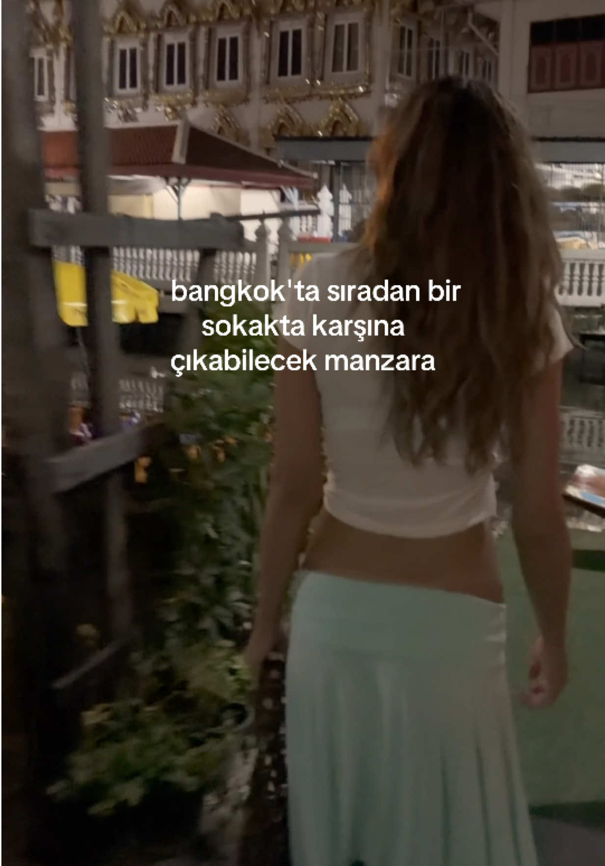 @Mine Mücahid