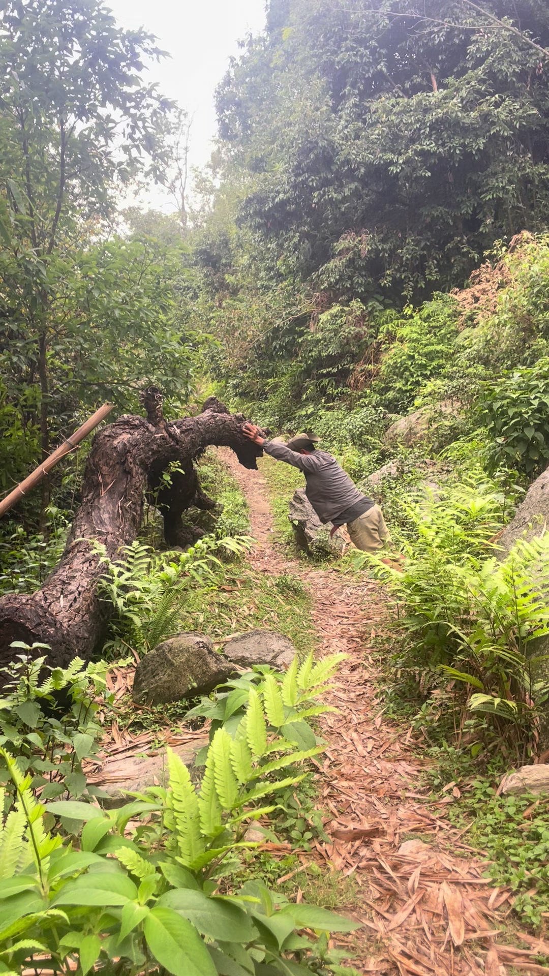 @नखावा कृषि