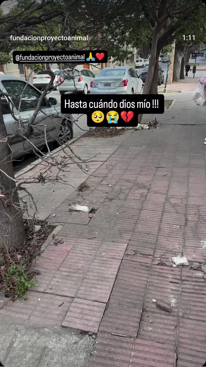 @Vero Orzábal