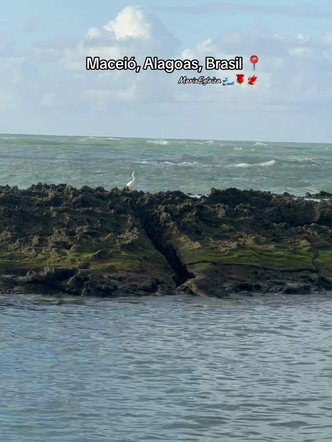 @MARIA🌊🌹🐦🔥