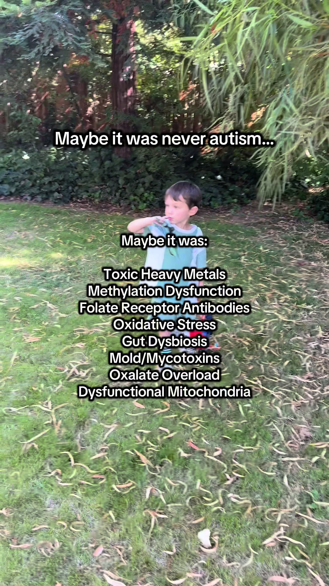 @NeuroRoot