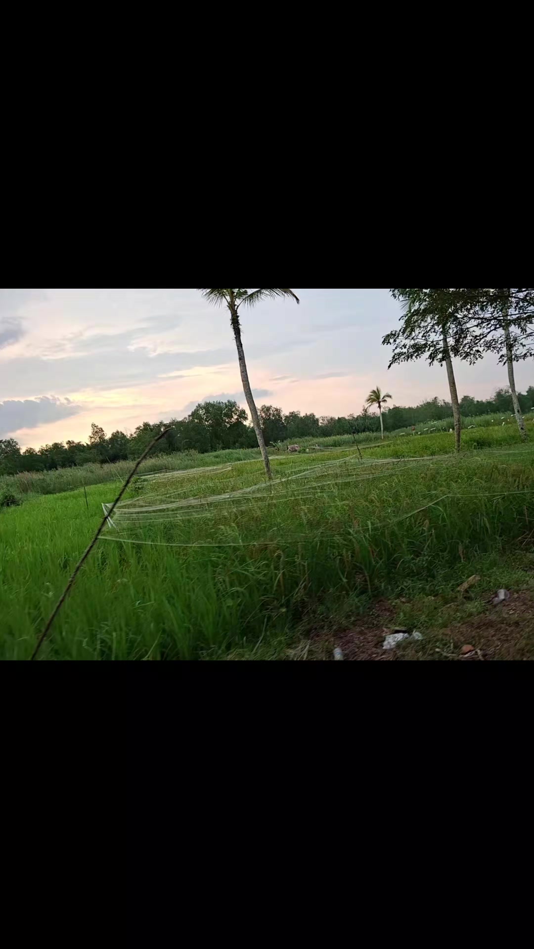 @Eli_MD