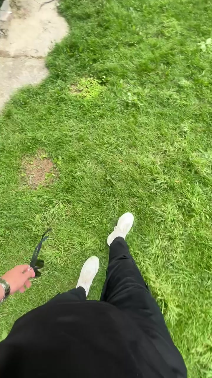 @🐊