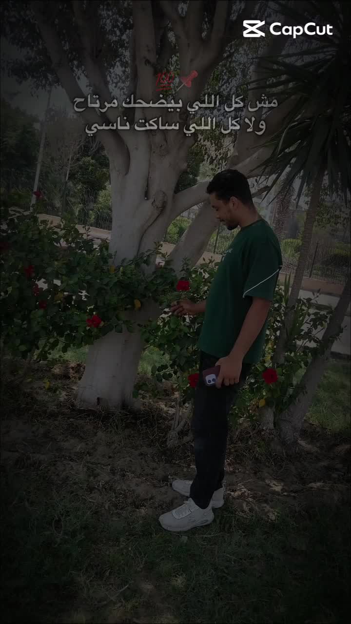 @Hamdi Elsayed