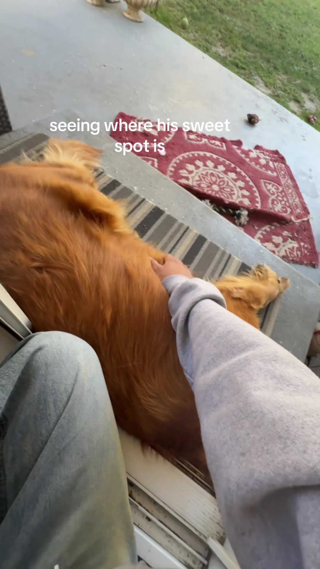 @Nebrhdbdmdn