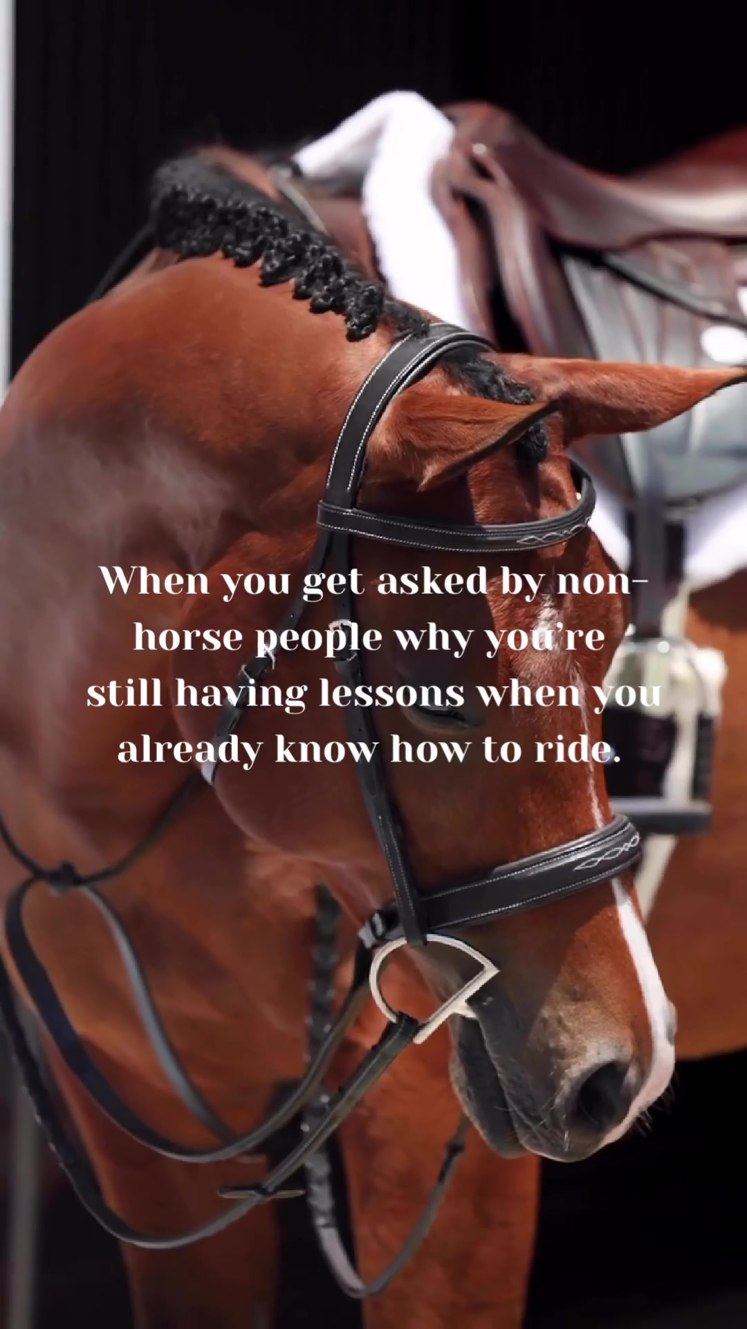 @LumiereEquestrian