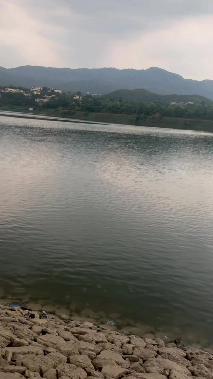 @عادی ملک🥀