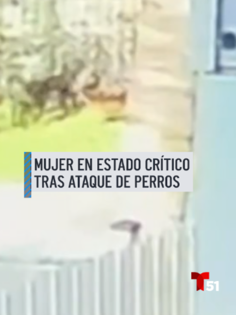 @Telemundo51Miami