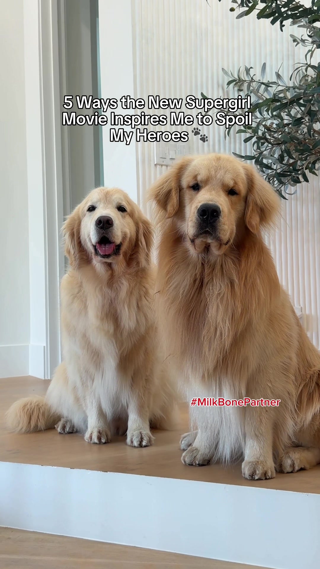 @Maui, Ruby +Hugo