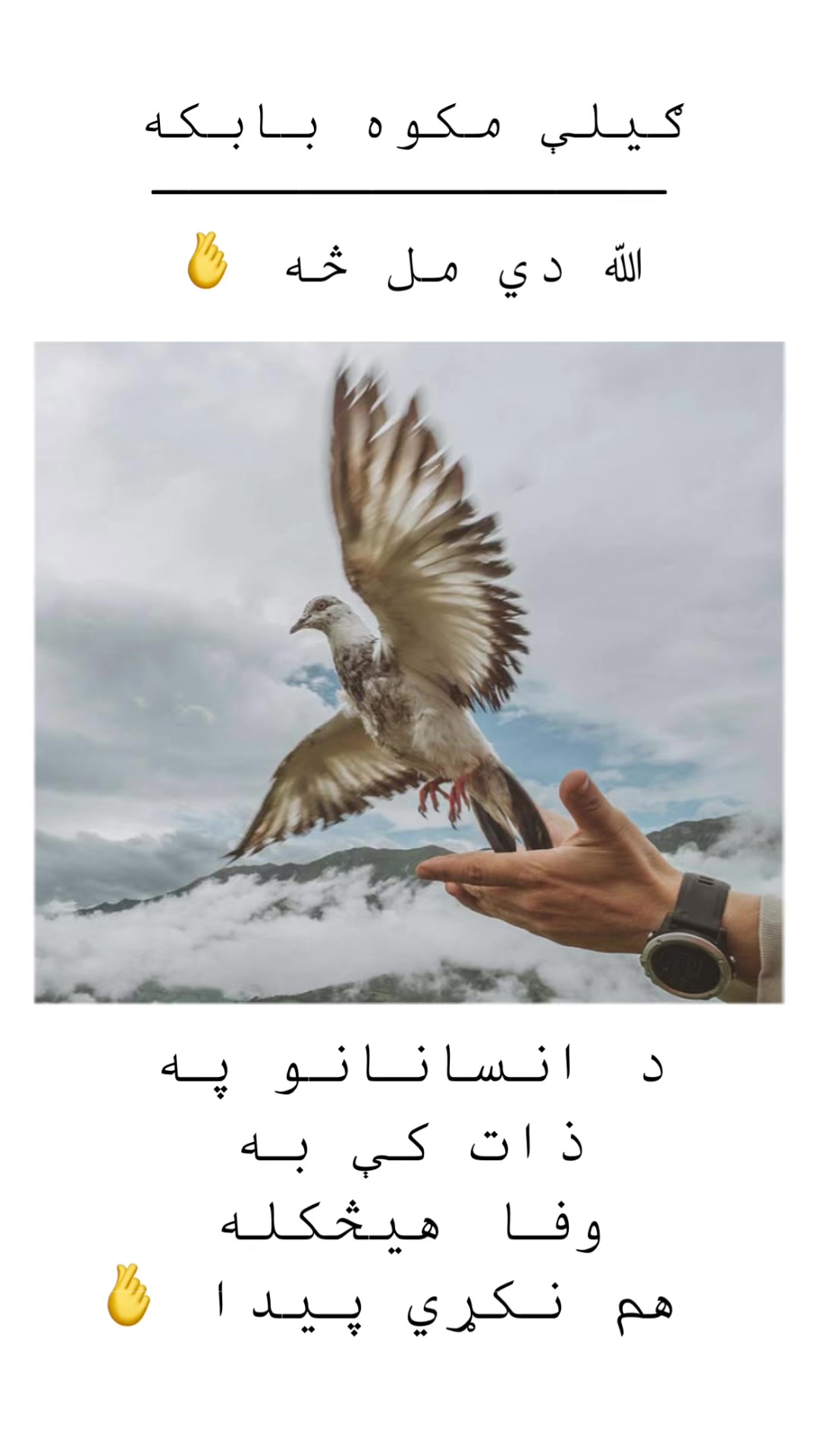 @𝕿𝖍𝖊 𝕽𝖊𝖆𝖑 𝕱𝖆𝖙𝖍𝖊𝖗✌️