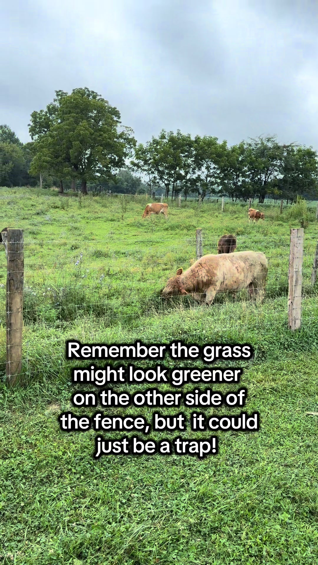@MISSY & Her Farmer