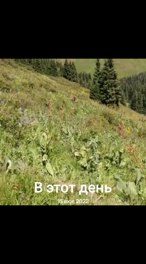 @Рамиль Забиров