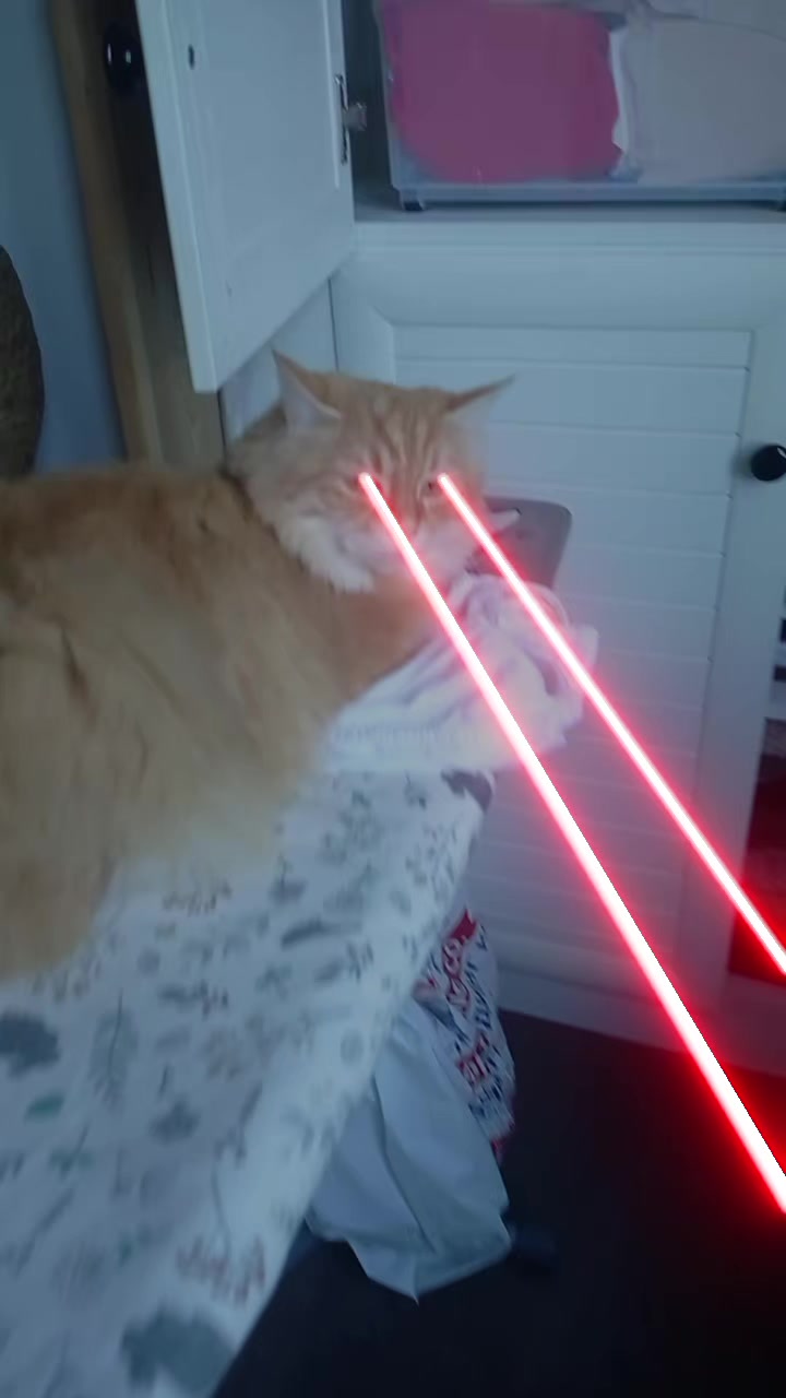 @⭐💤✿❀Мина❀✿💤⭐🐱✅🐶✅
