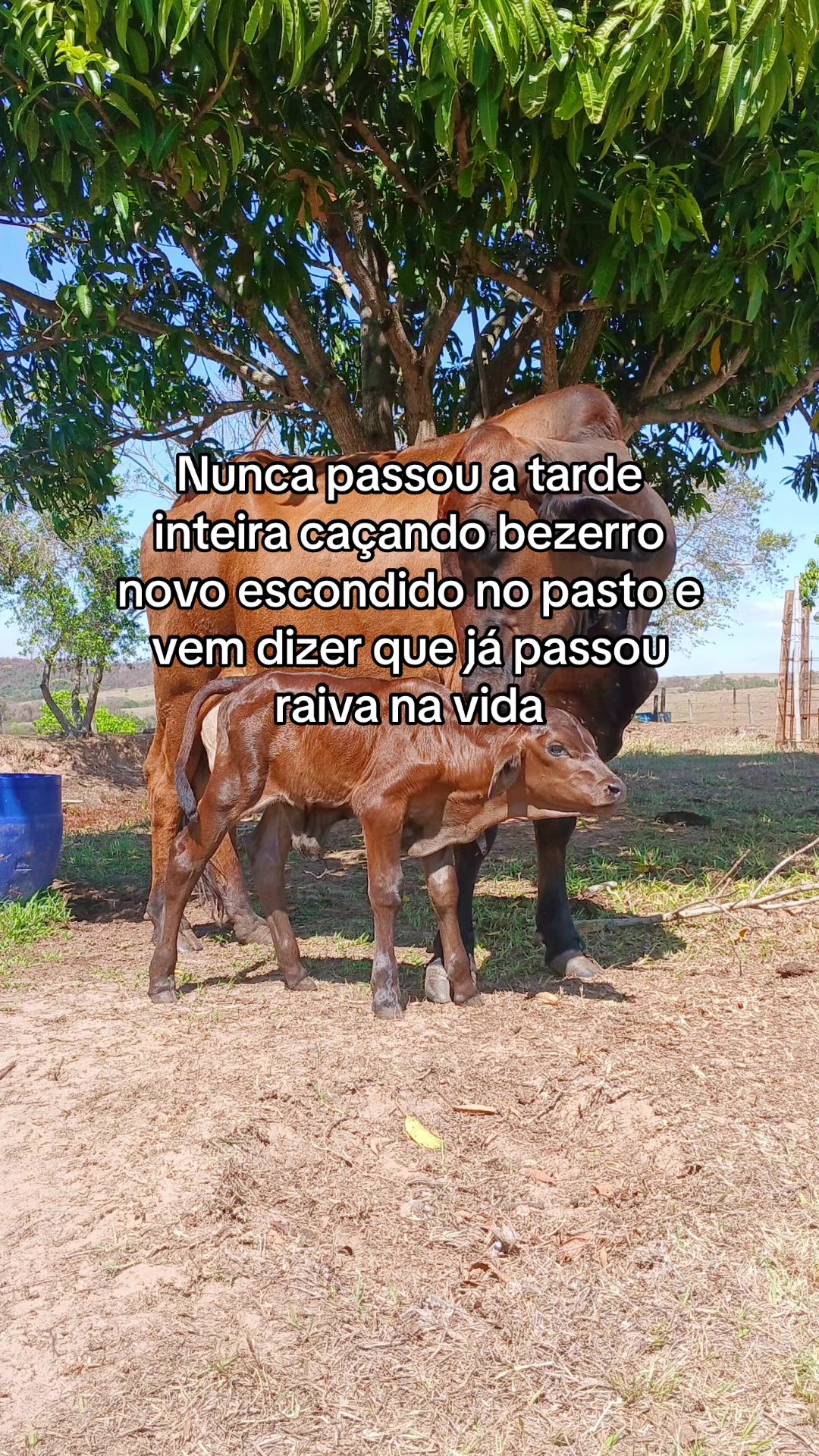 @Somodaogo