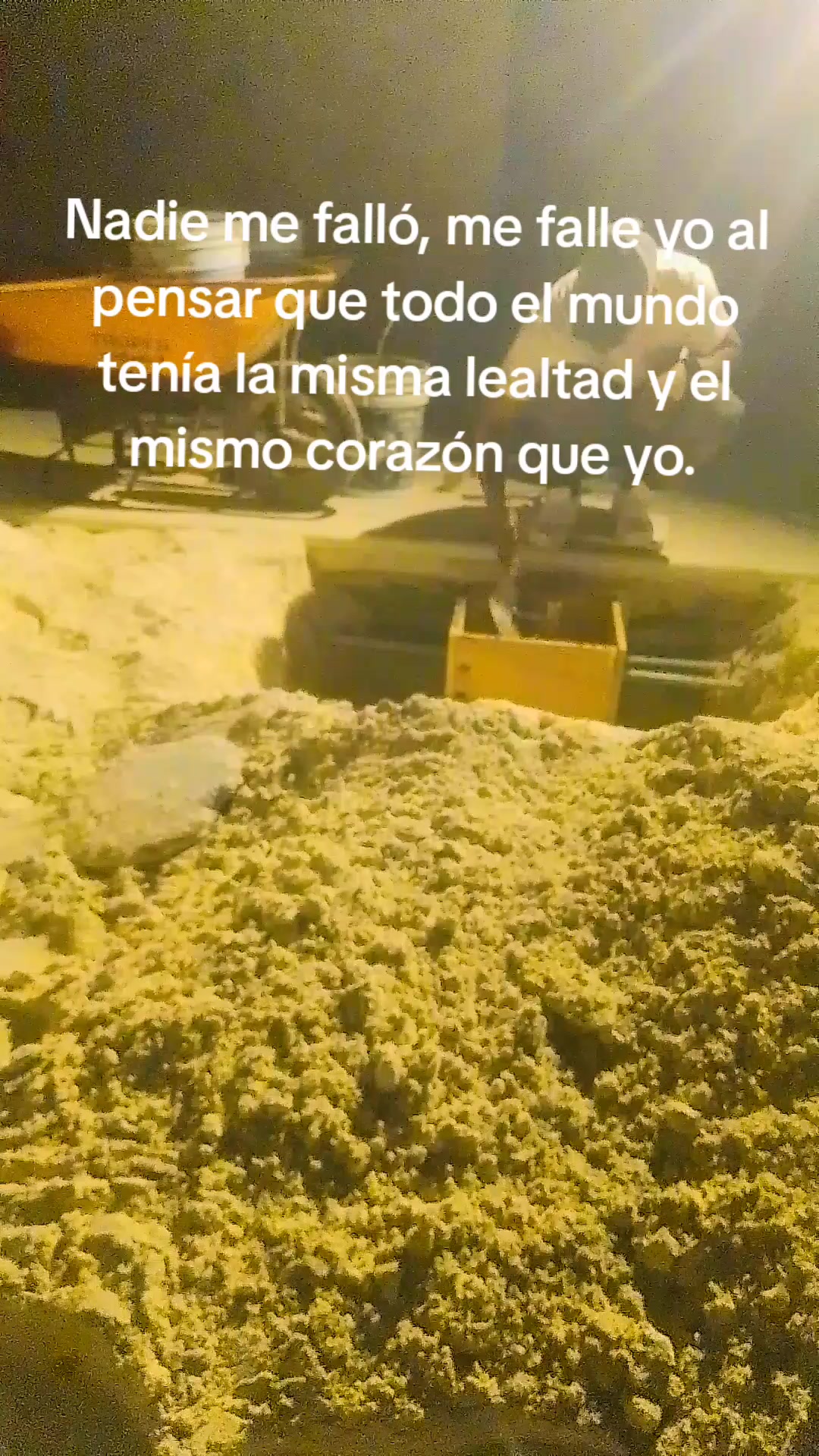 @😎💯🇲🇽Ernesto🤑💯🇲🇽