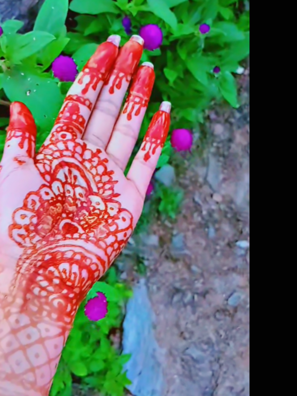 @Dipika Adhikari