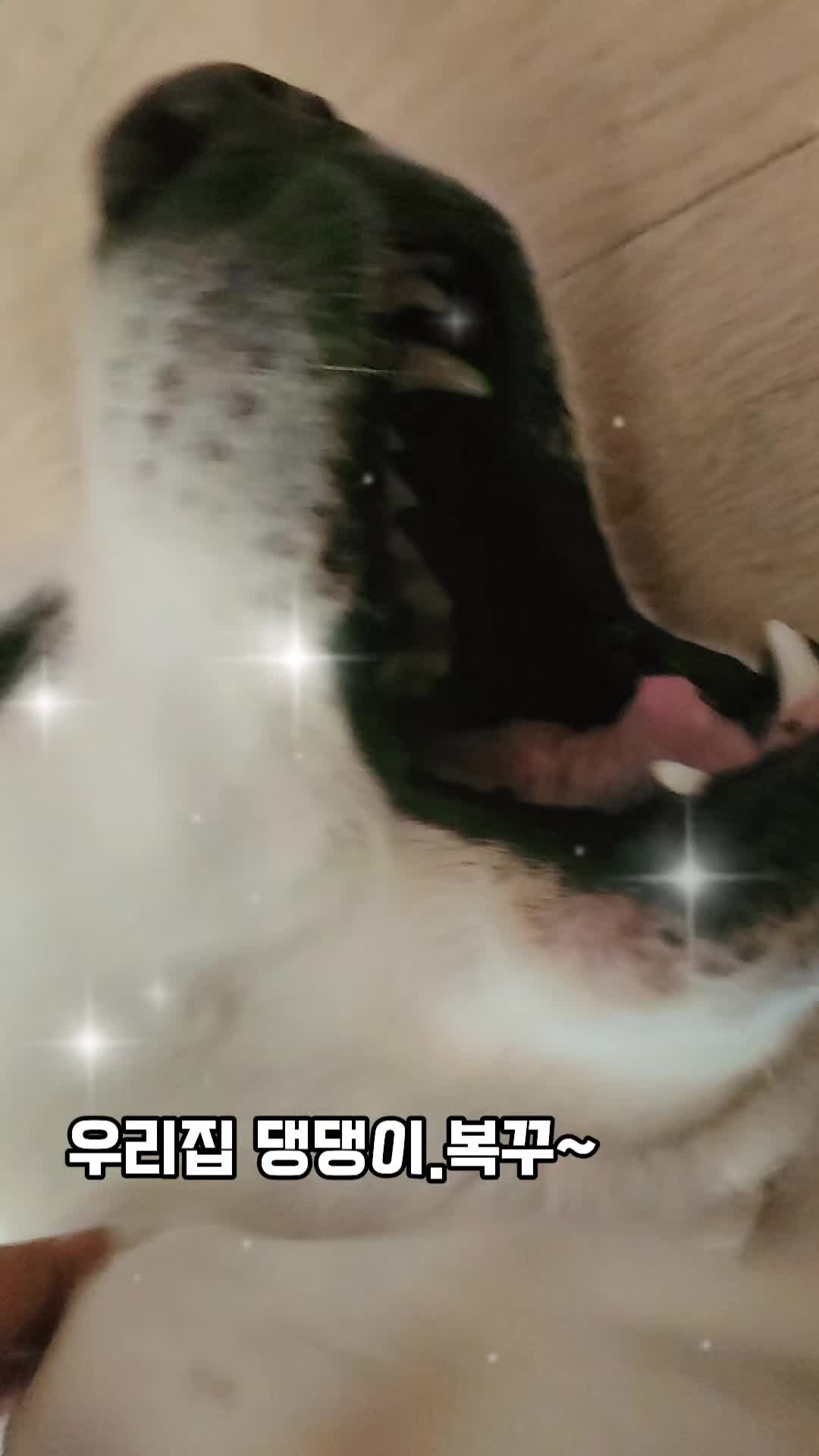 @김 새로이