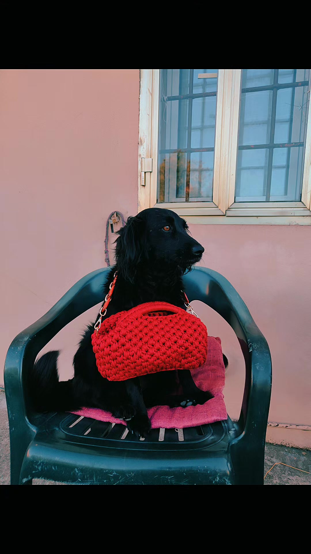 @🦋Diana 💟🎼🧶