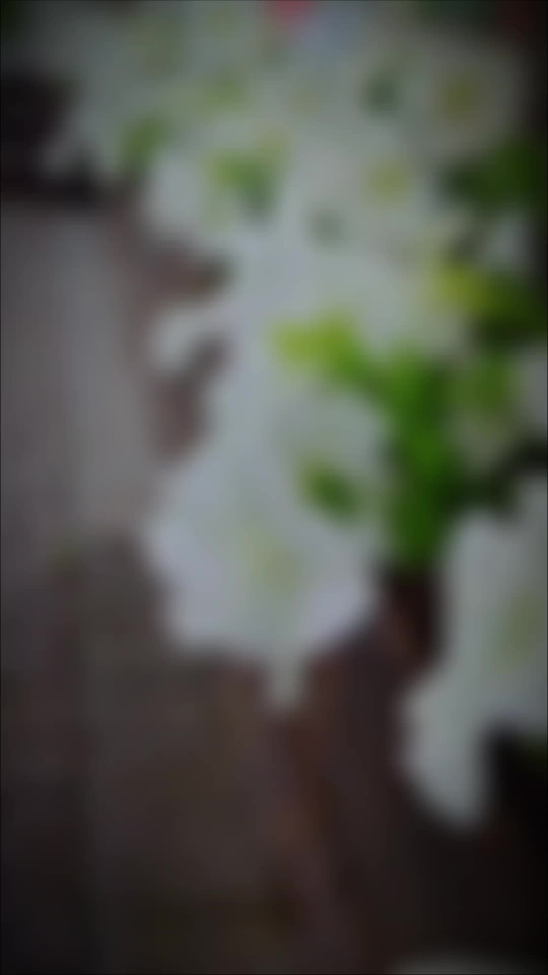 @Лена