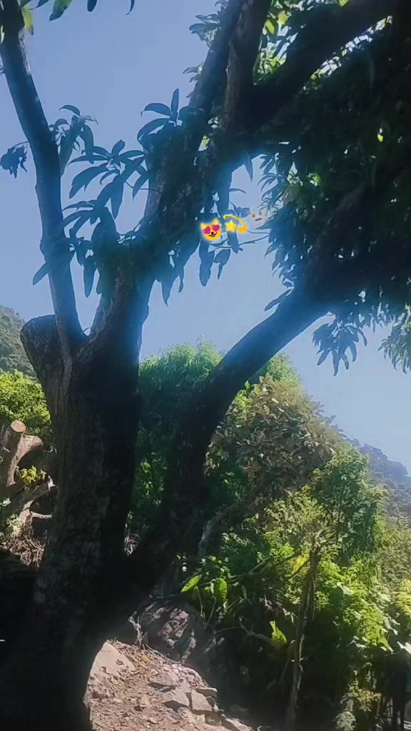 @yassir 👺 Pérez ☠️