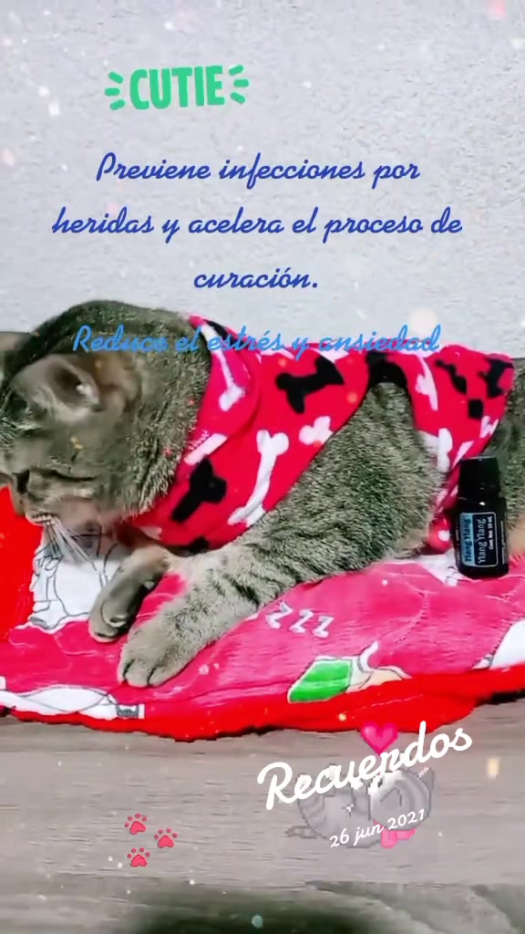 @Isela_01