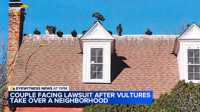 @ABC11