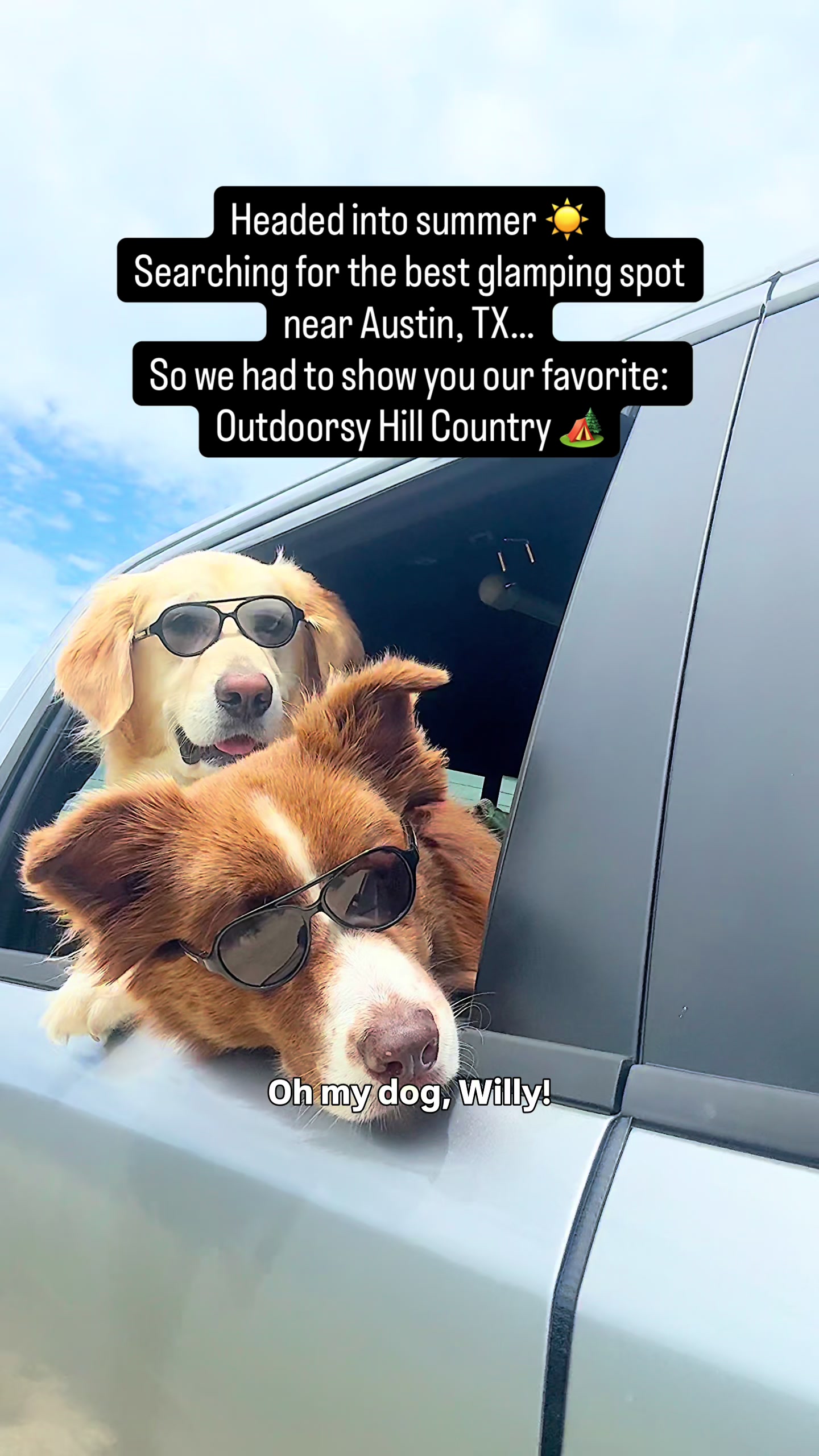 @WILLY | GoodDog