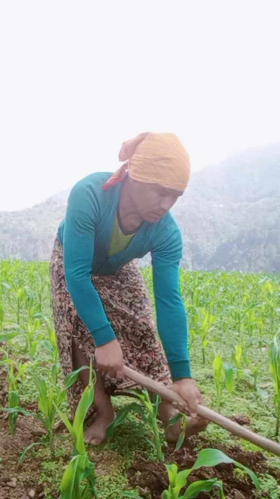 @kumar thapa