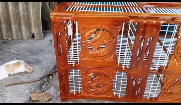 @кσєdʝαηg ωσσdcrαƒт