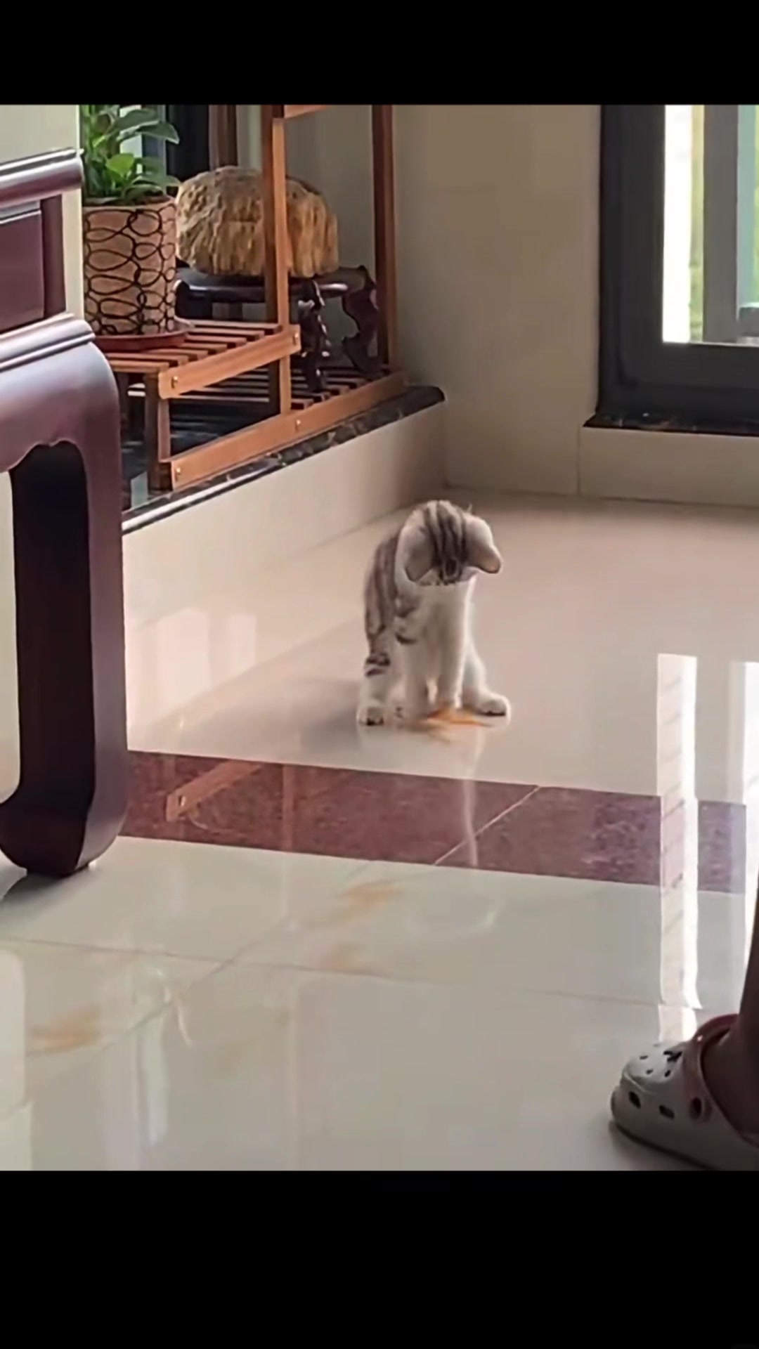 @My Daily Dose of Aww