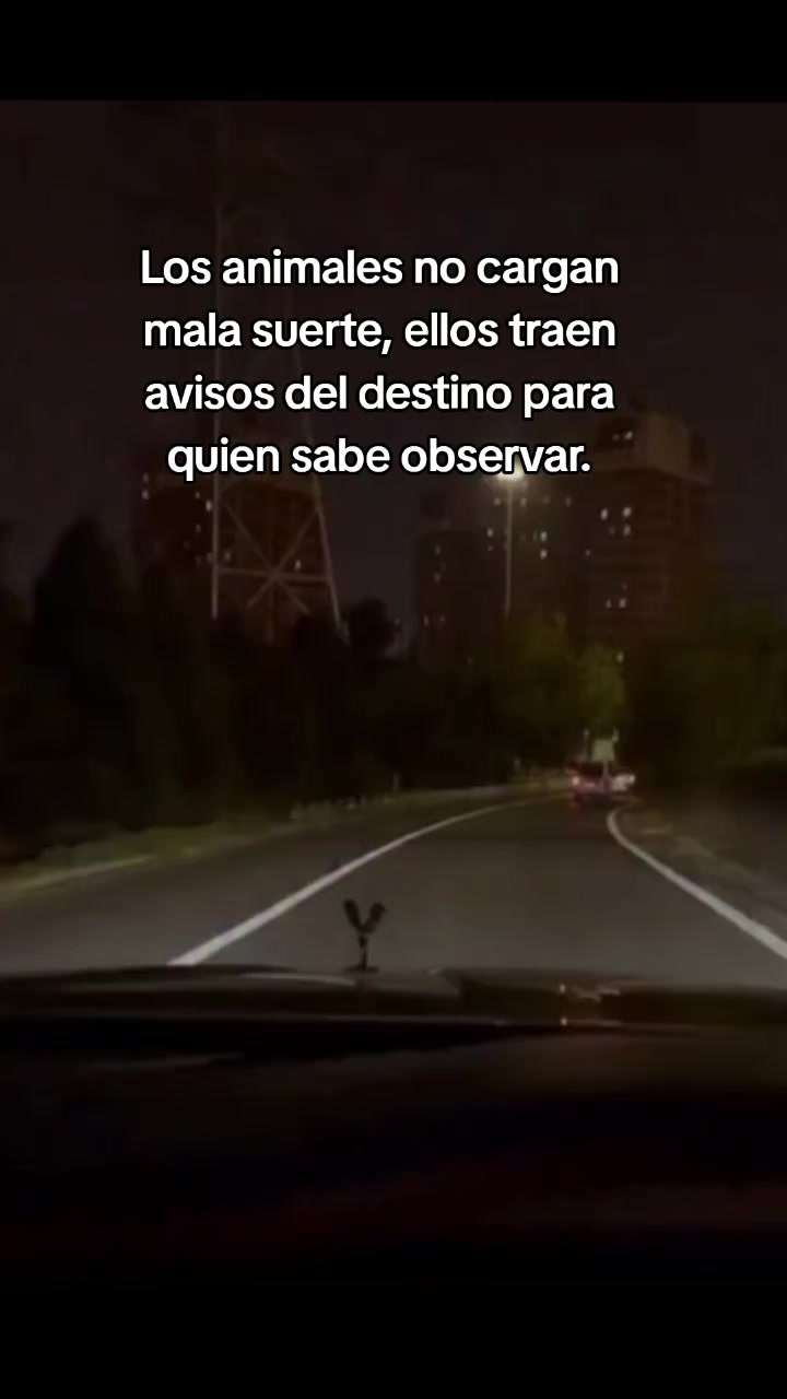 @labrujadesastroza