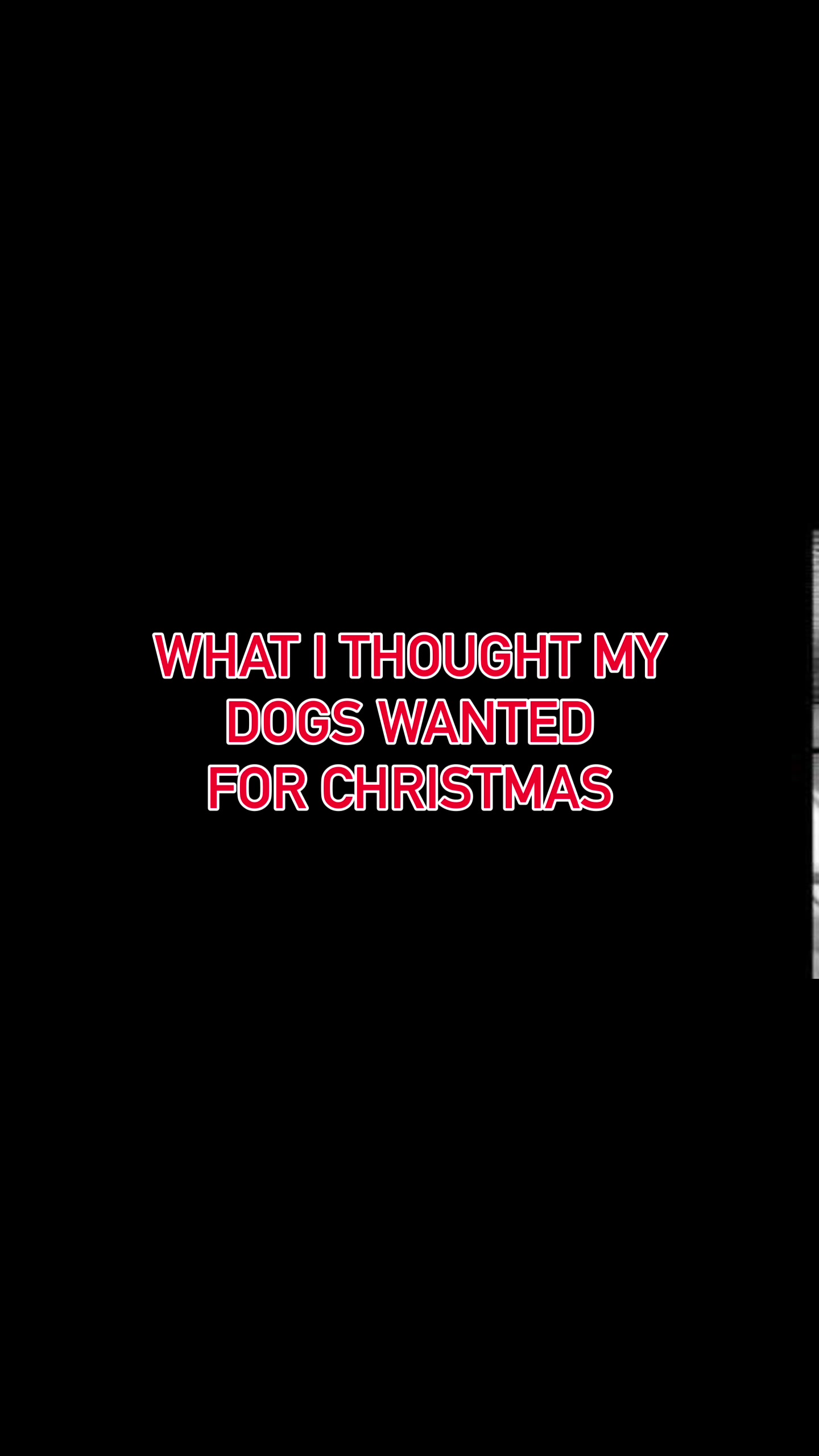 @HighCountryRetrievers
